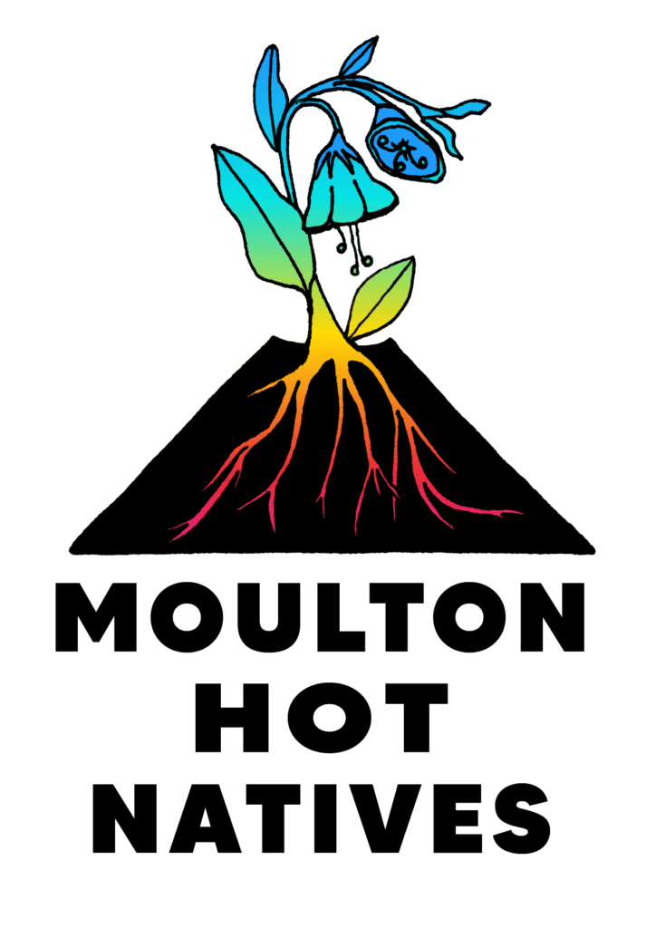 Abstract plant illustration with rainbow-colored roots, yellow stem, blue flower, and green leaves on a black background, symbolizing growth.